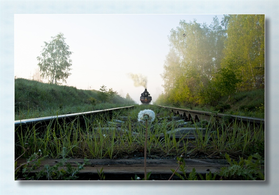 Фото жизнь