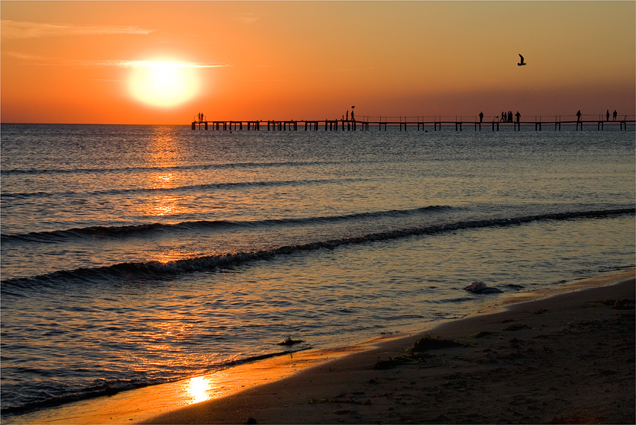 Фото жизнь (light) - Куликова Ирина  - корневой каталог - ****