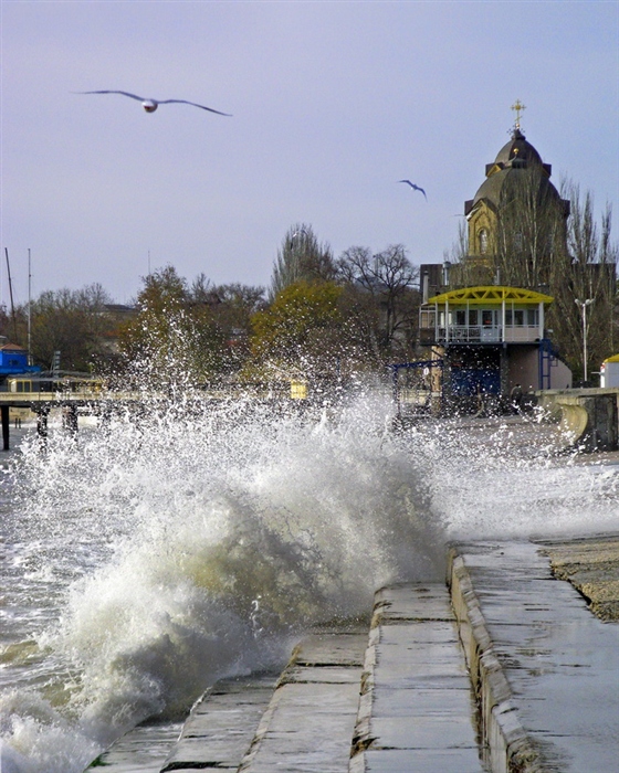 Фото жизнь