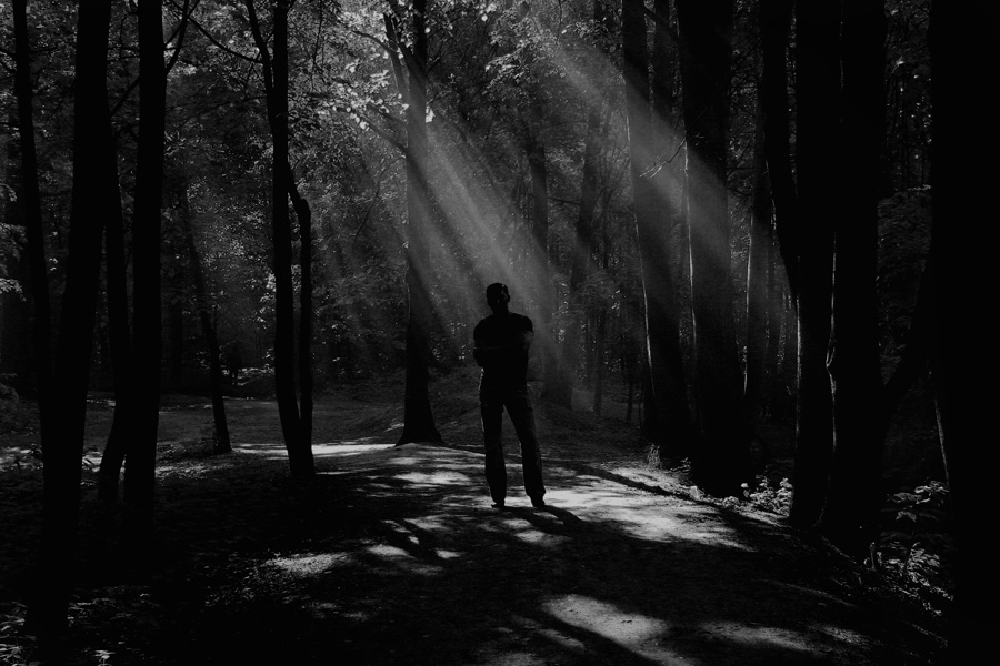 Фото жизнь (light) - Владимир  - Жанр - встреча