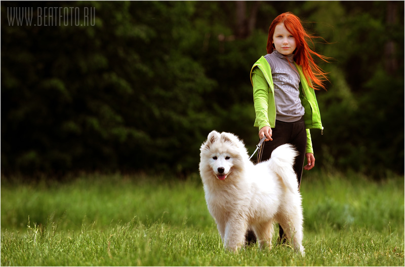 Фото жизнь (light) - Дмитрий Горенков - корневой каталог - Девочка с собакой