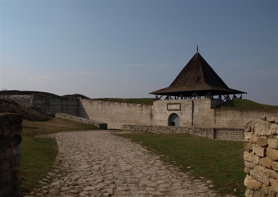Фото жизнь