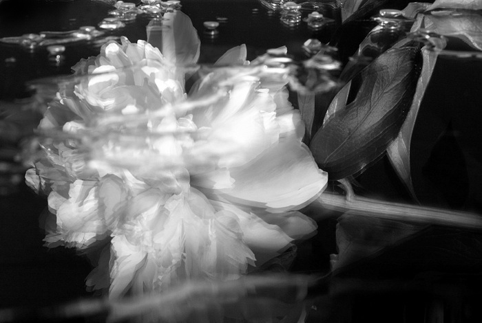 Фото жизнь (light) - Olga Oskina - корневой каталог - 2