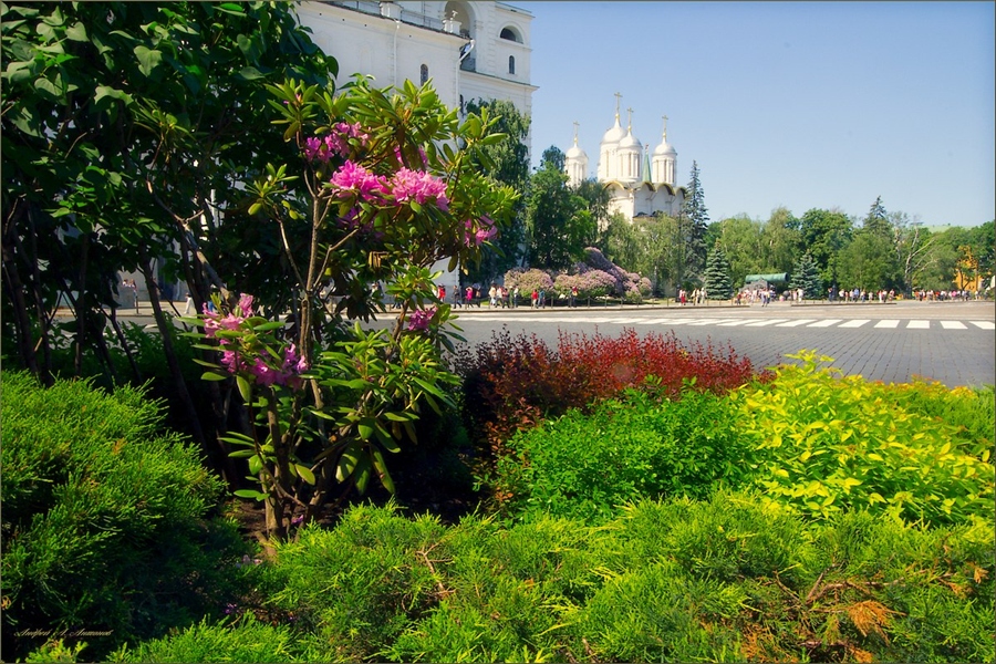 Фото жизнь