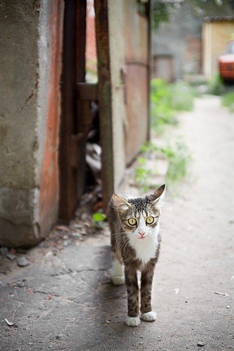 Фото жизнь
