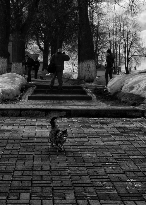 Фото жизнь