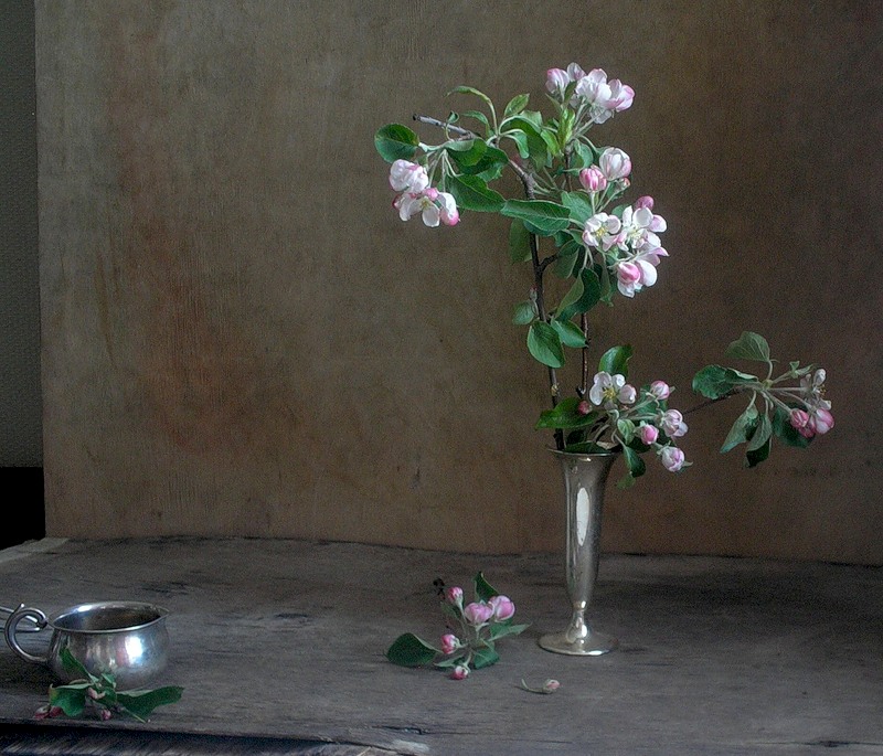 Фото жизнь (light) - TORTILLA - корневой каталог - мечта о японском саде