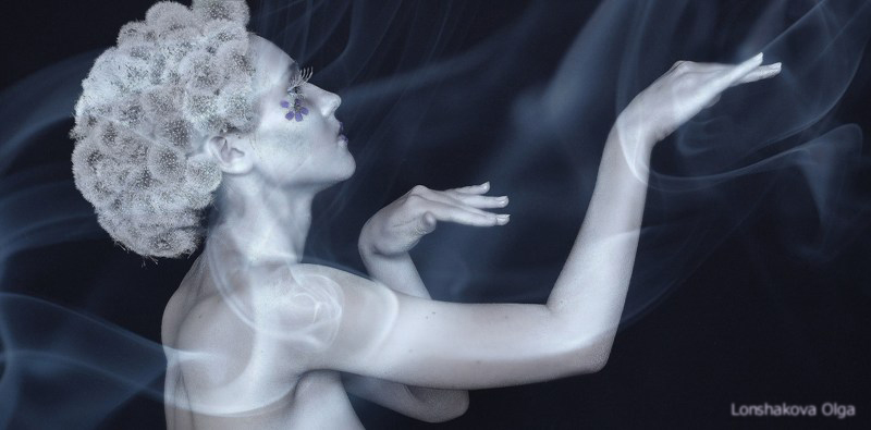 Фото жизнь (light) - Лоншакова Ольга - корневой каталог - Проэкт: "The night dandelion". Дубль №1. 