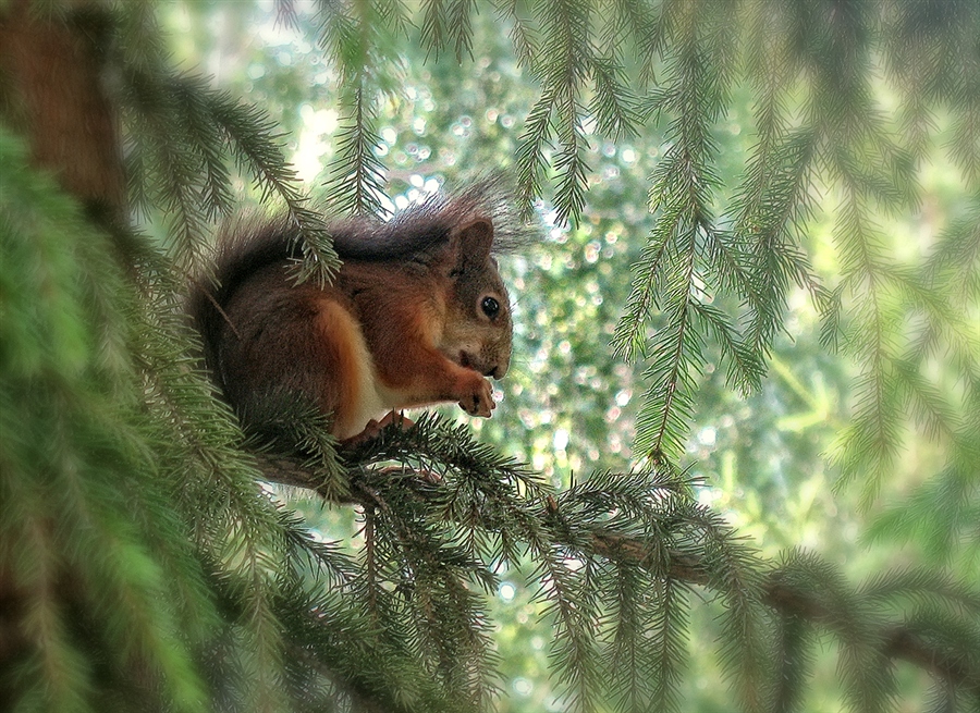 Фото жизнь