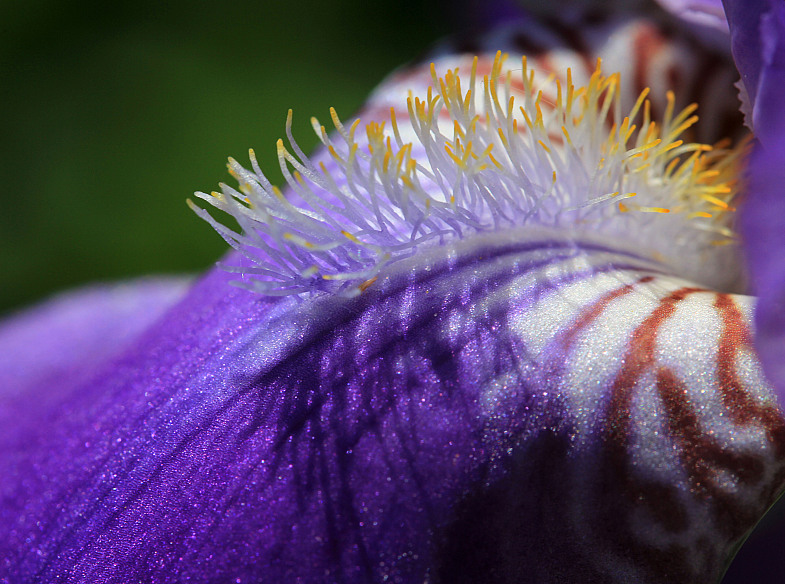 Фото жизнь (light) - AndreySavelyev - корневой каталог - ...