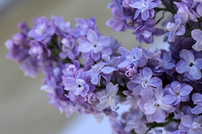 Фото жизнь (light) - AndreySavelyev - корневой каталог - ...