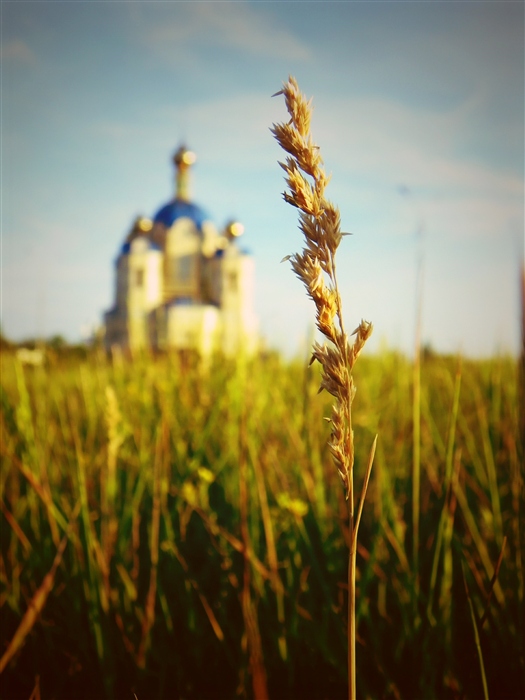 Фото жизнь
