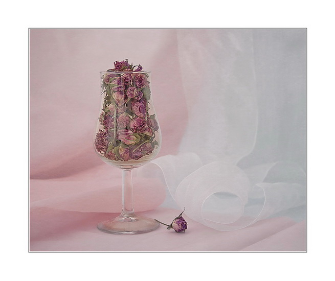 Фото жизнь (light) - Lilliya - корневой каталог - cocktail of roses