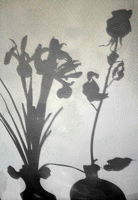 Фото жизнь (light) - Olga Oskina - тени - контакт