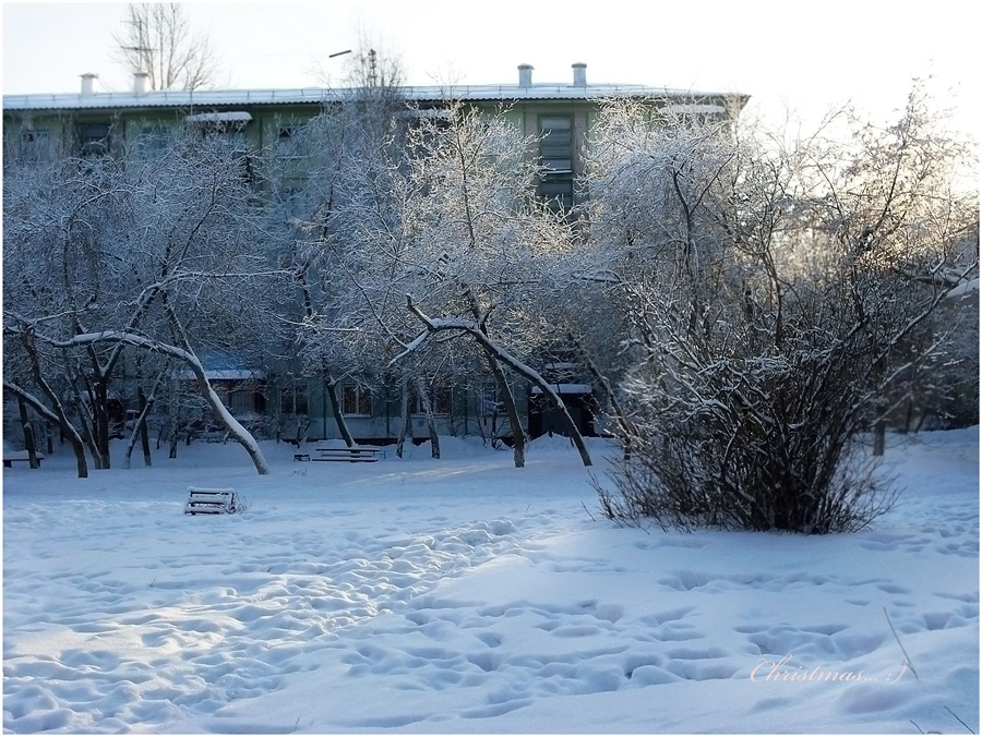 Фото жизнь
