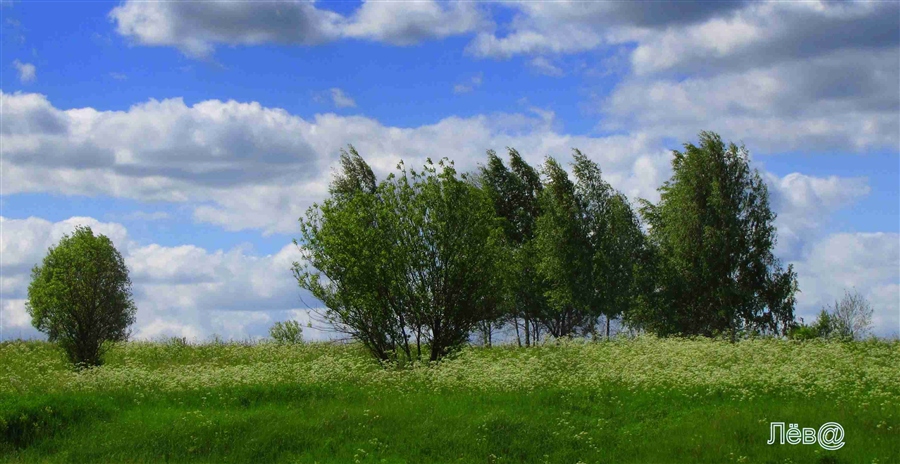 Фото жизнь