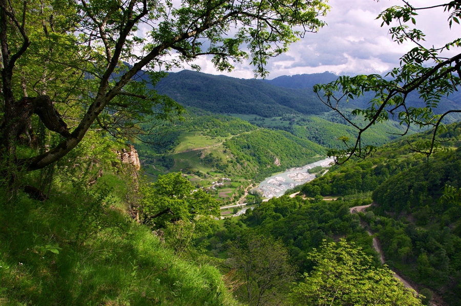 Фото жизнь