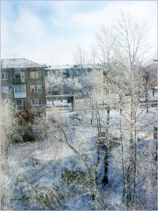 Фото жизнь