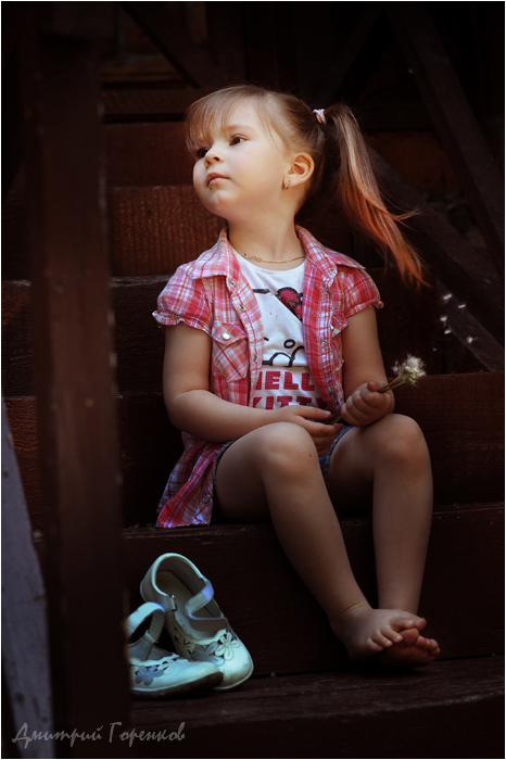 Фото жизнь (light) - Дмитрий Горенков - корневой каталог - Одуванчик