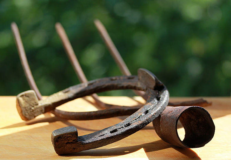 Фото жизнь (light) - AndreySavelyev - корневой каталог - ...