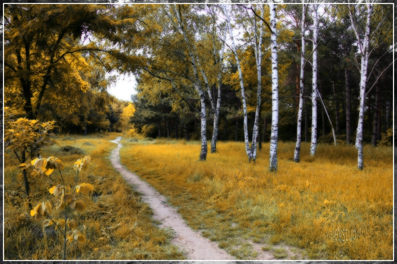 Фото жизнь (light) -  Валентин Ллик - пейзаж - Осень