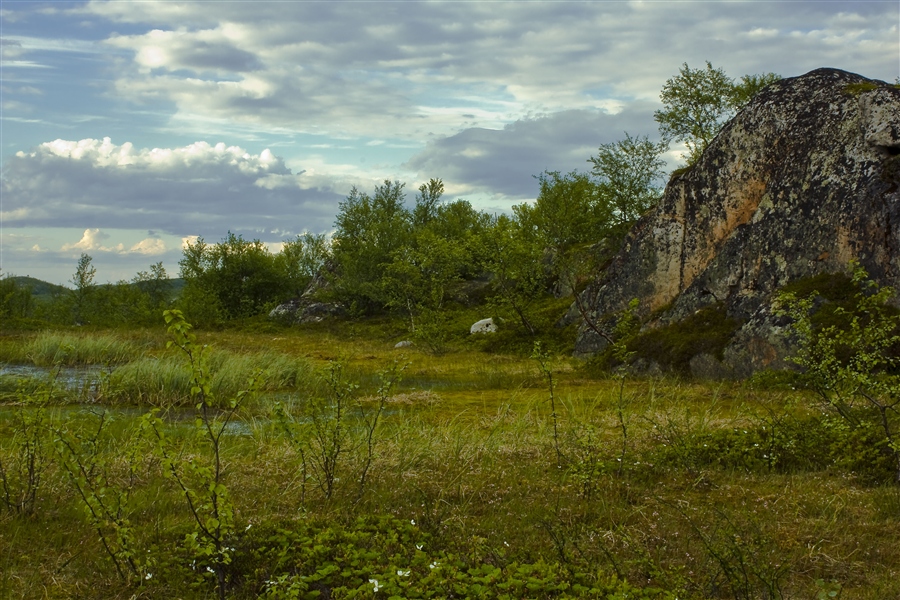 Фото жизнь