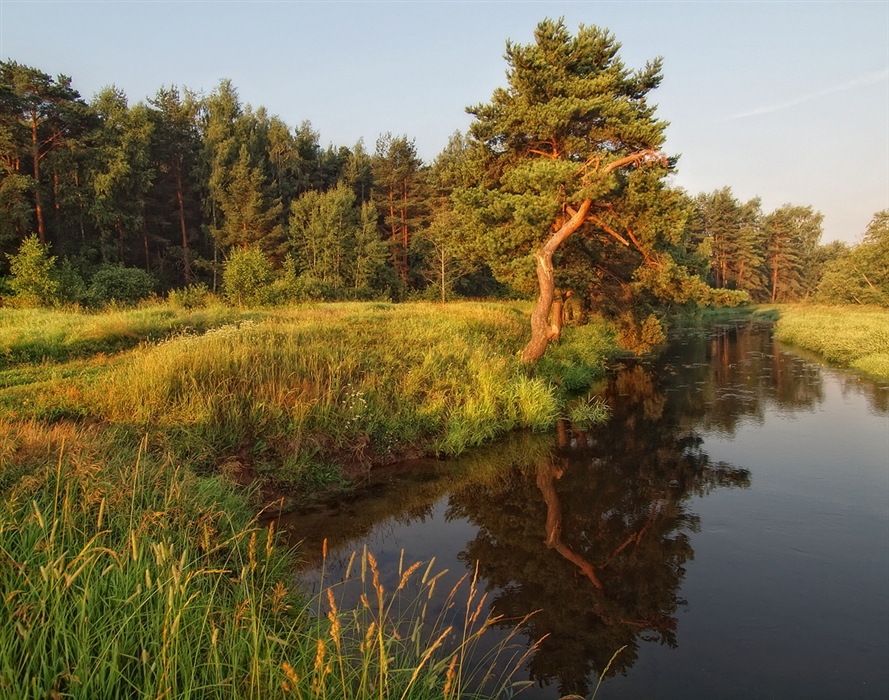 Фото жизнь