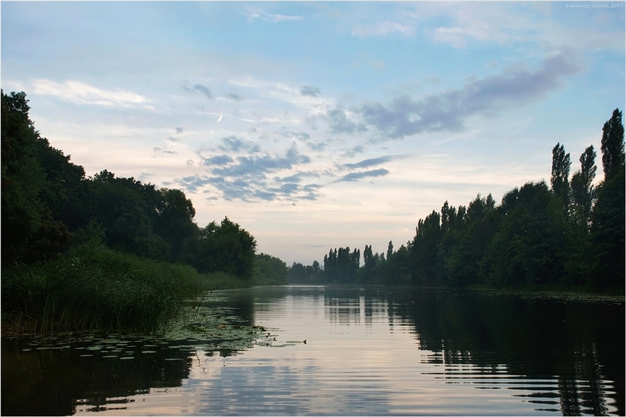 Фото жизнь
