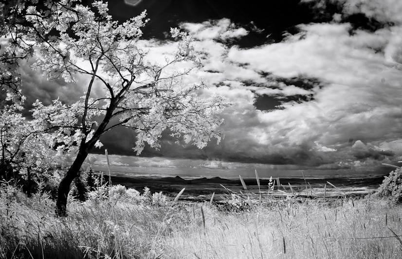 Фото жизнь (light) - miskam - IR - Ustecky kraj IR #4