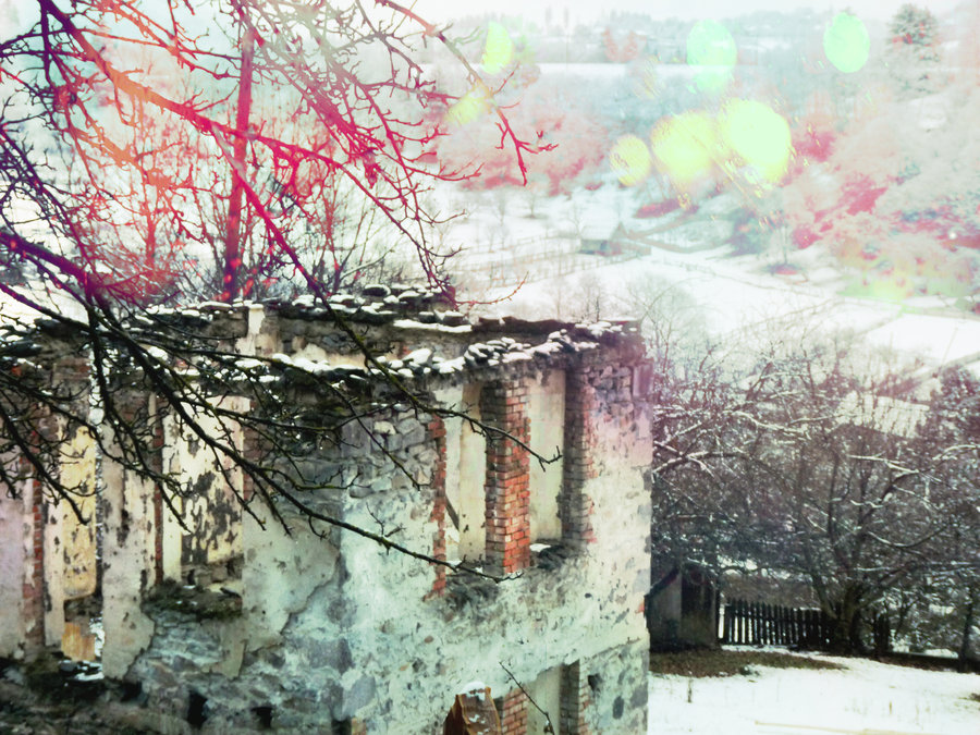 Фото жизнь