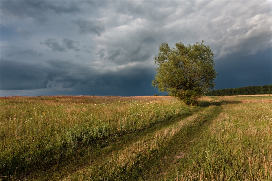 Фото жизнь