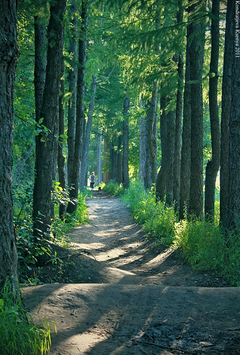 Фото жизнь