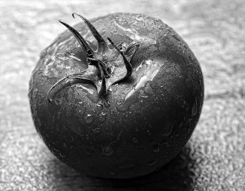 Фото жизнь (light) - AndreySavelyev - корневой каталог - ...