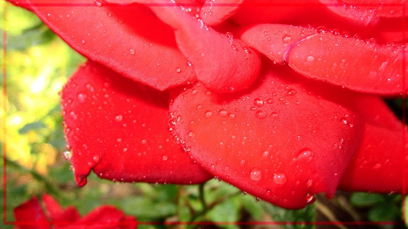 Фото жизнь (light) - mango_lo - корневой каталог - ***