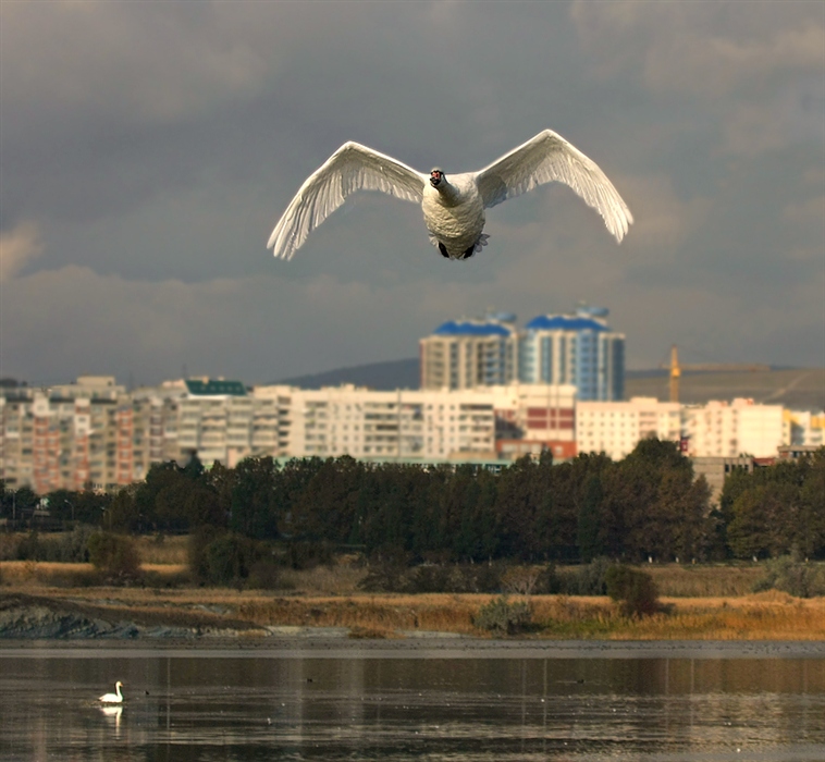 Фото жизнь