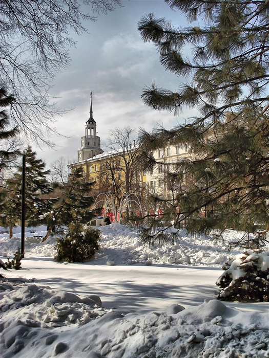 Фото жизнь