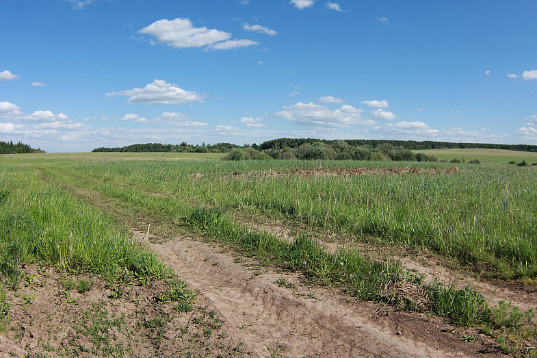 Фото жизнь (light) - AndreySavelyev - корневой каталог - ...