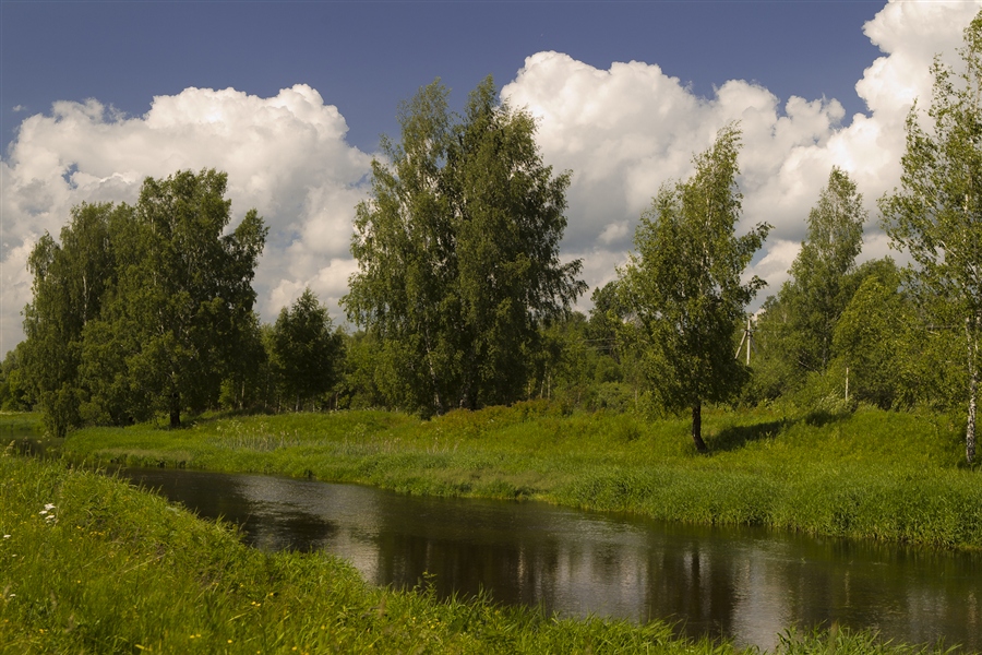 Фото жизнь