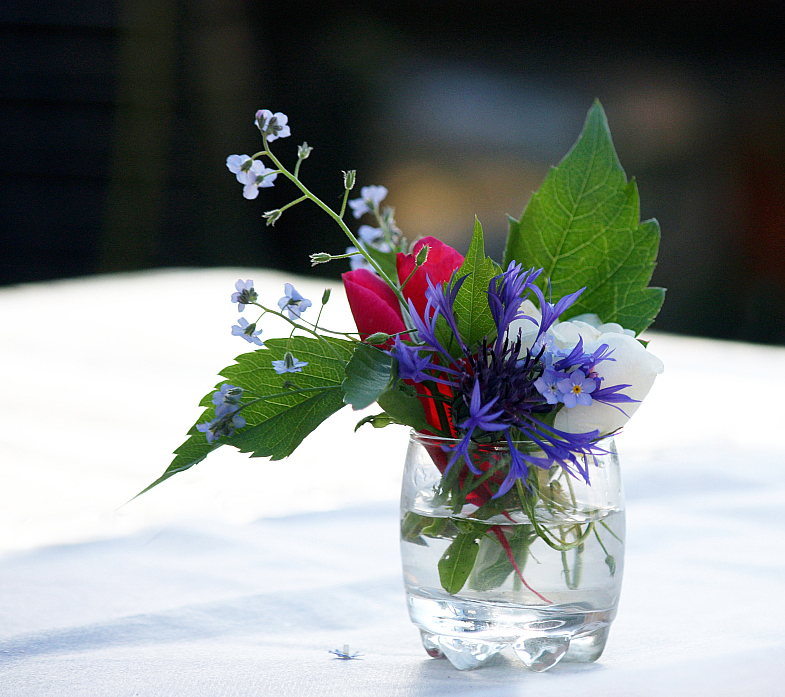 Фото жизнь (light) - AndreySavelyev - корневой каталог - натюрморт