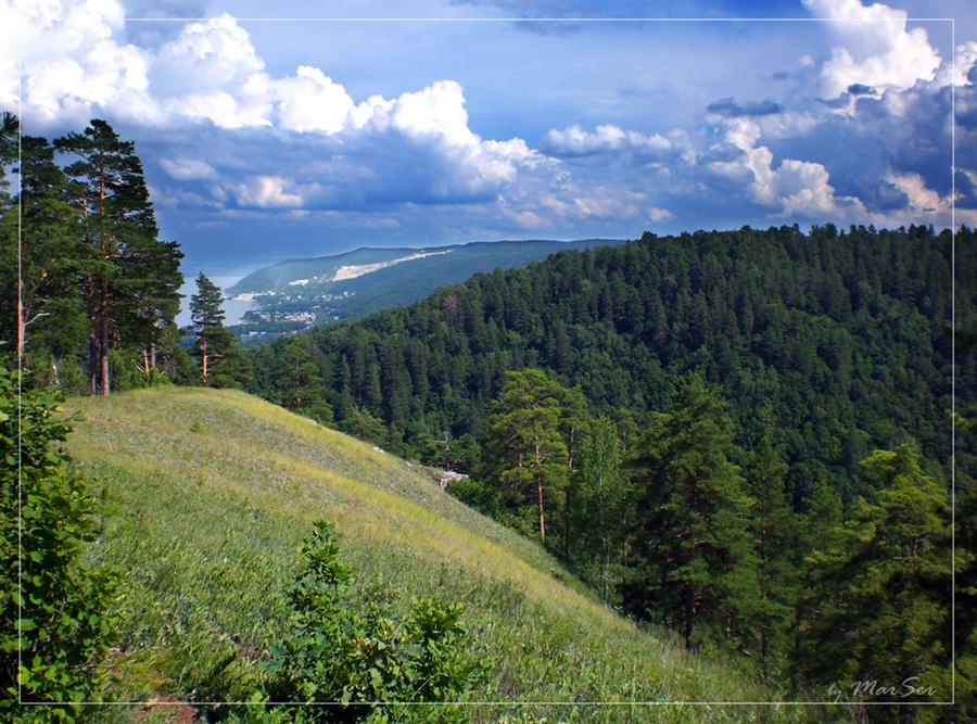 Фото жизнь