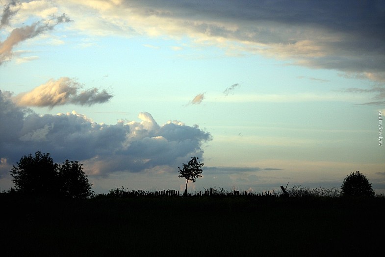 Фото жизнь (light) - AndreySavelyev - корневой каталог - ...