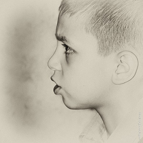 Фото жизнь (light) - AndreySavelyev - корневой каталог - Ромка