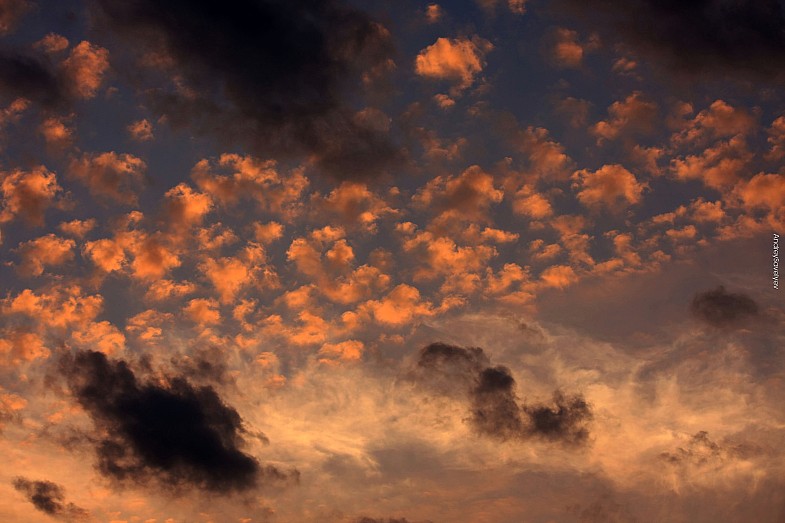 Фото жизнь (light) - AndreySavelyev - корневой каталог - ...