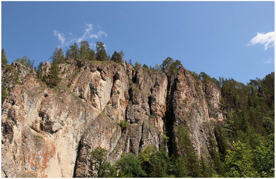 Фото жизнь