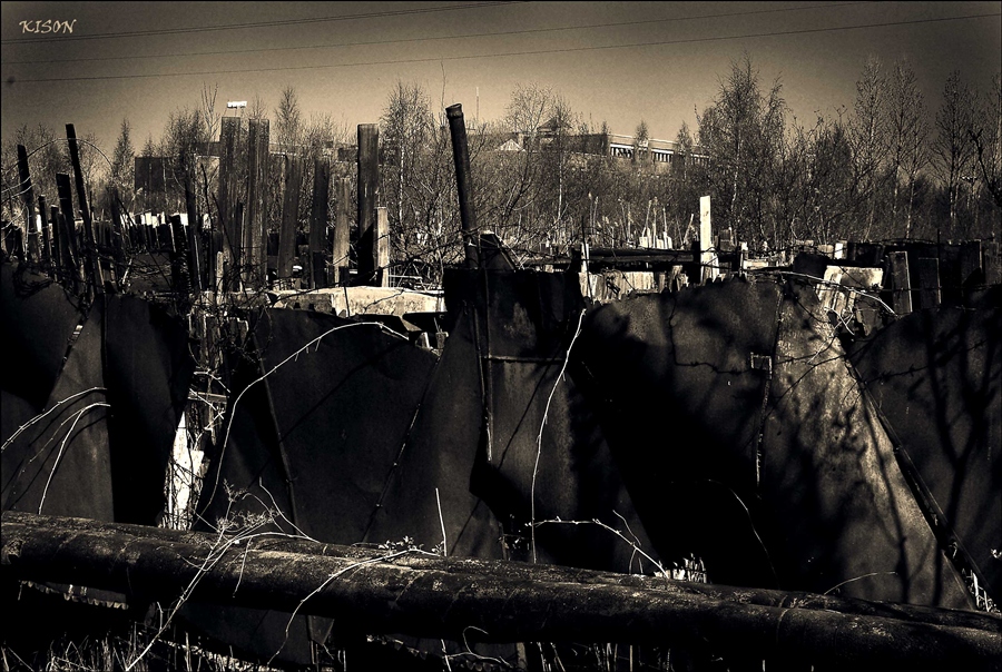 Фото жизнь