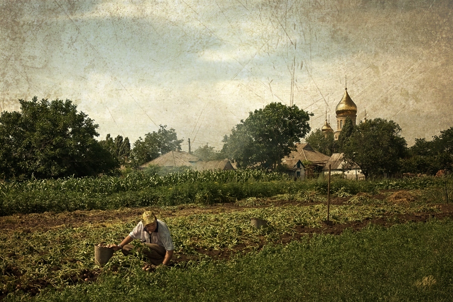 Фото жизнь