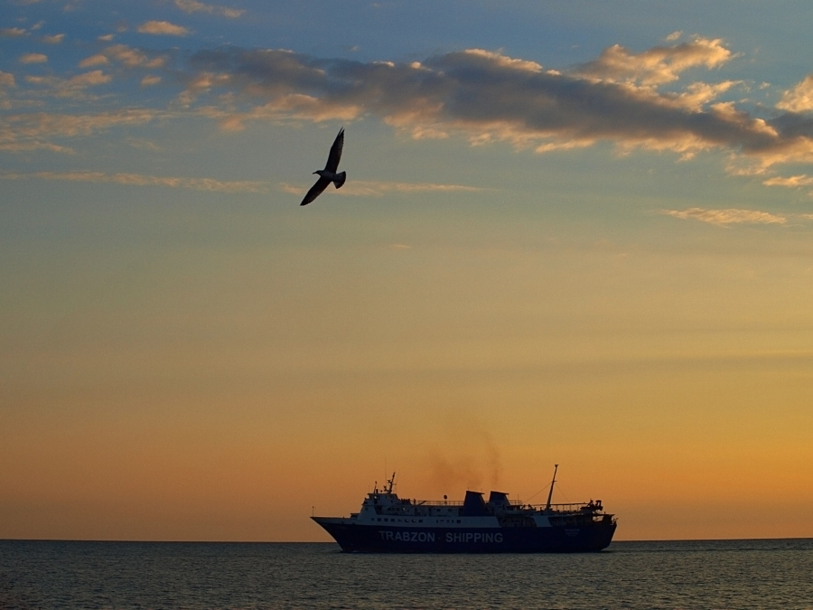 Фото жизнь (light) - Турков Евгений - Туда-сюда - ***