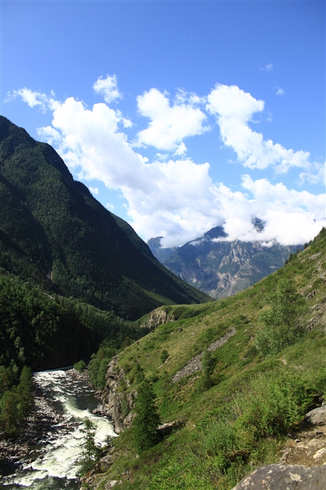 Фото жизнь