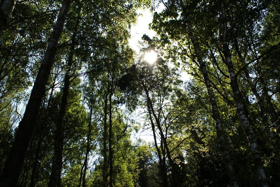 Фото жизнь
