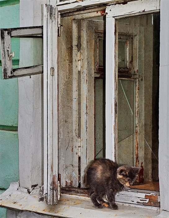 Фото жизнь